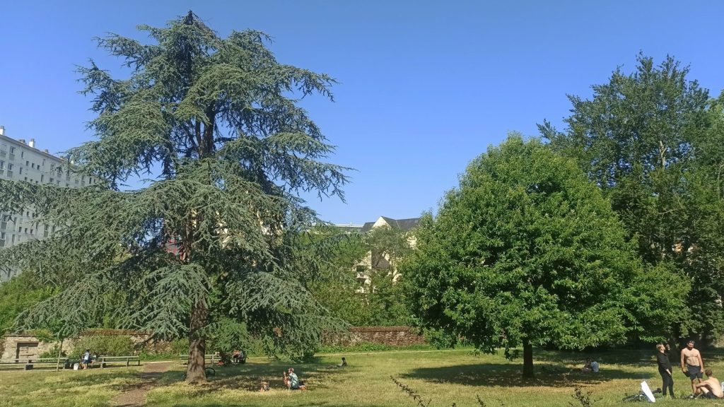 CCAS Vichy : Un Oasis Social au Cœur de l’Argentine