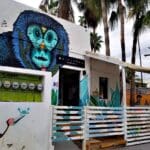 Qu’est-ce que la bourse Metadvertise ?