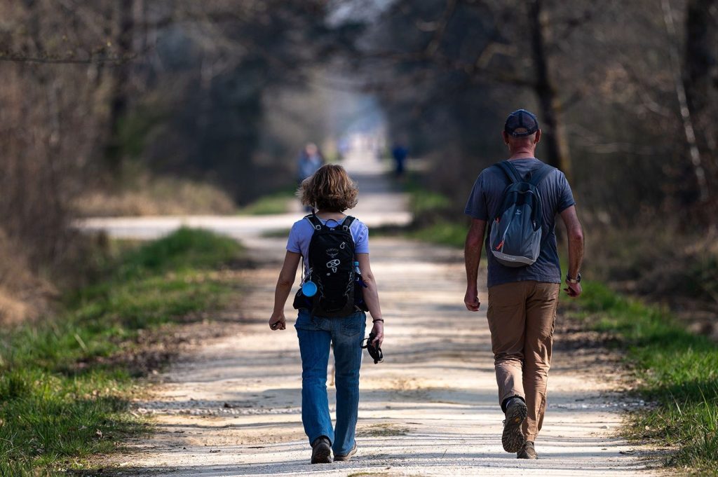 Les Trésors cachés des marchés de Béziers : Une escapade gourmande et culturelle