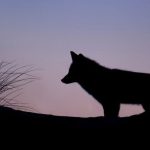 Vérification de chèque de banque : Tout ce que vous devez savoir !