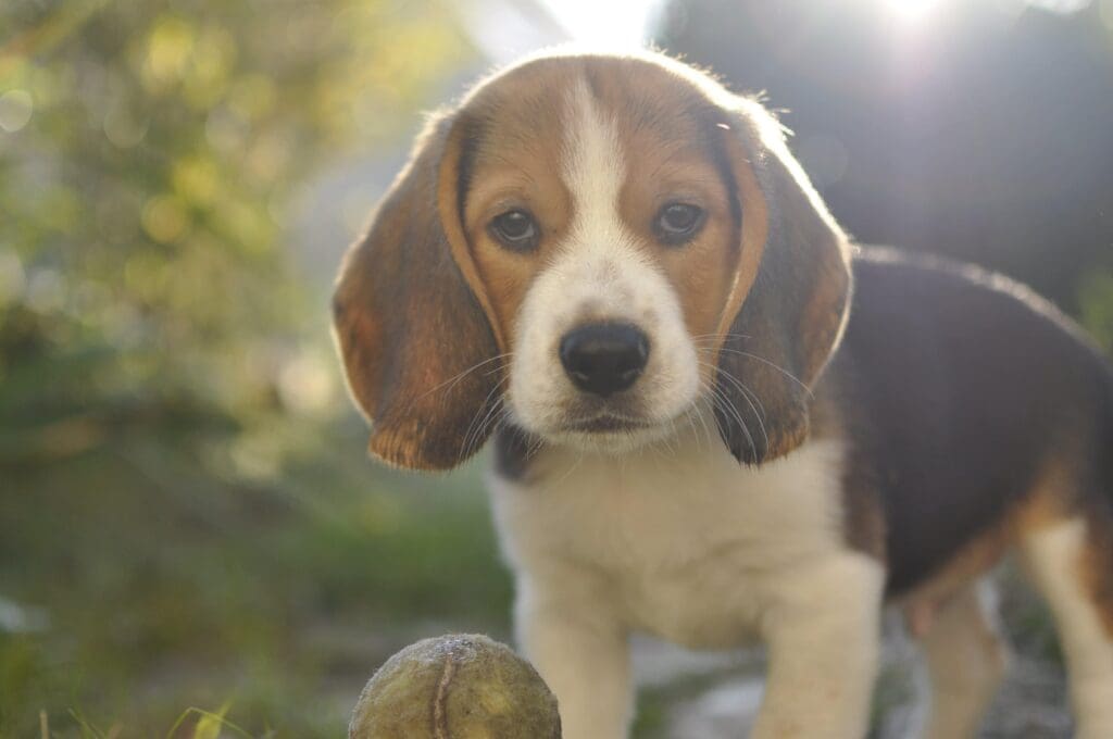 Combien coute un enfant jusqu’à ses 18 ans ?