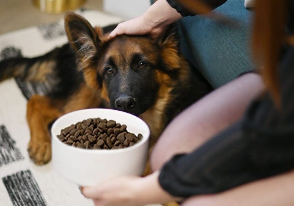 &Agrave; quel &acirc;ge peut-on prendre sa retraite en Europe ?