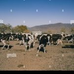 Comment créer un compte pour obtenir des informations sur la retraite ?