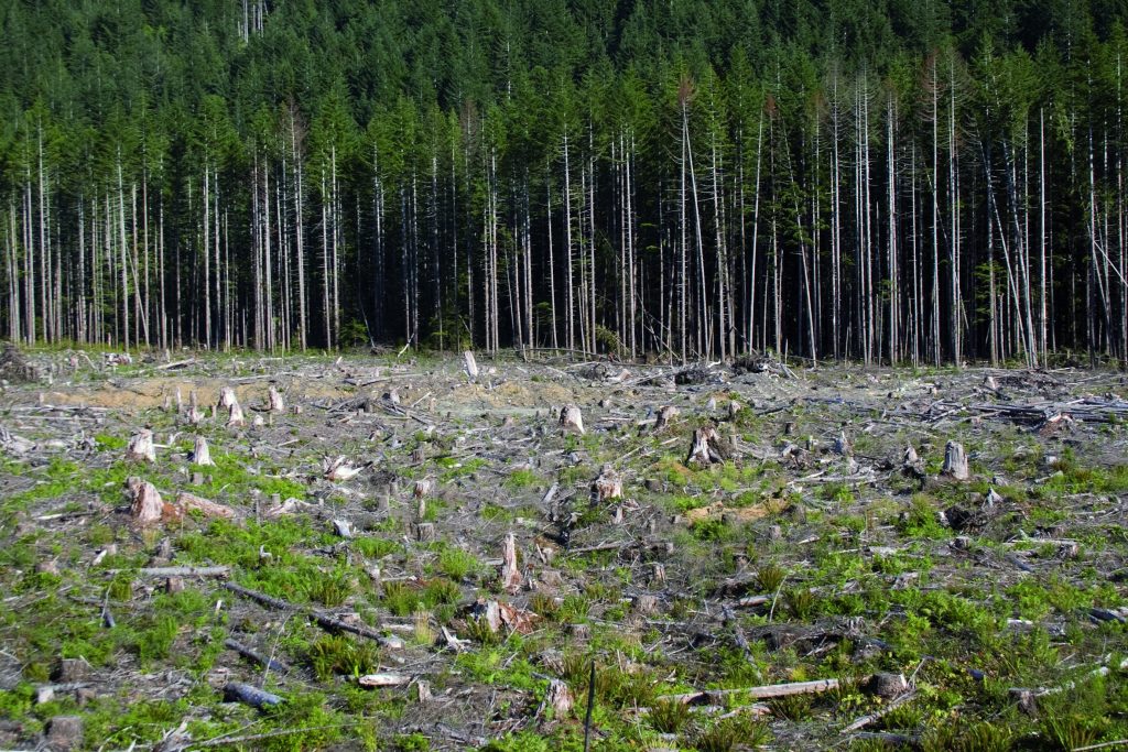 Quelles sont les implications de la prime d’inflation d’octobre ?