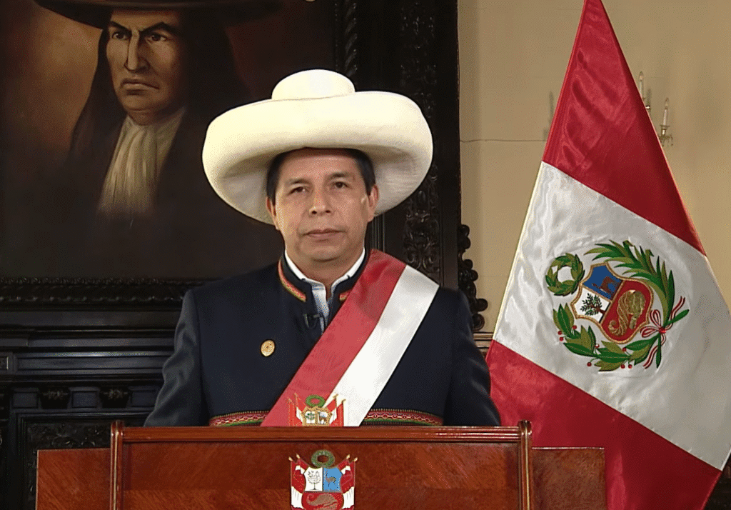 Comprendre le fonctionnement du gouvernement repr&eacute;sentative : Cl&eacute;s de la d&eacute;mocratie moderne