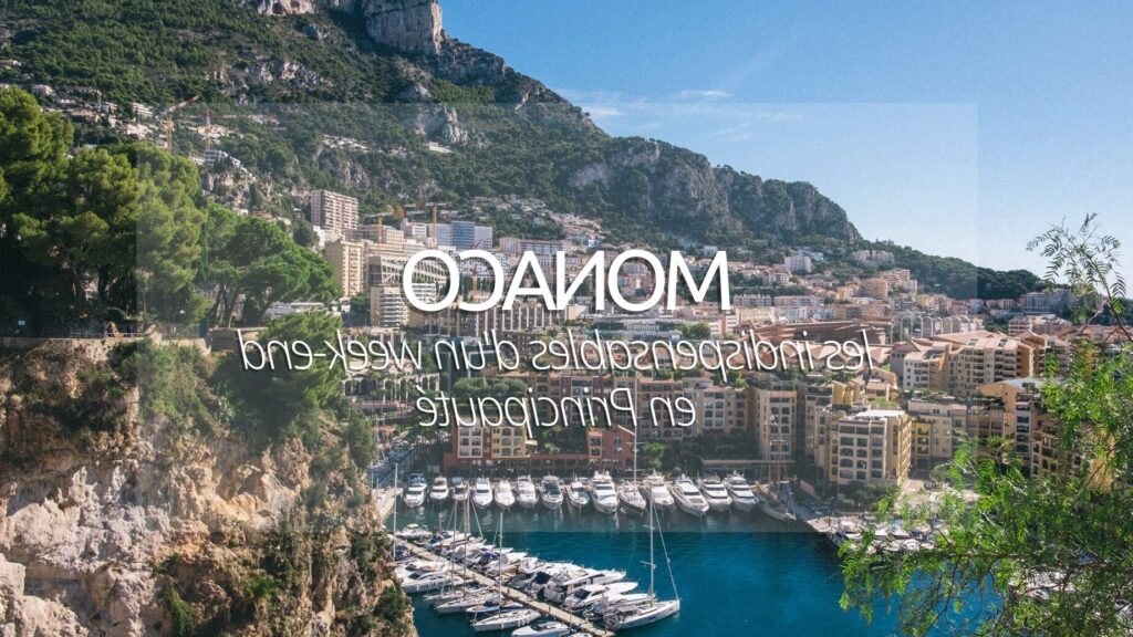 Monaco a-t-il sa propre monnaie?