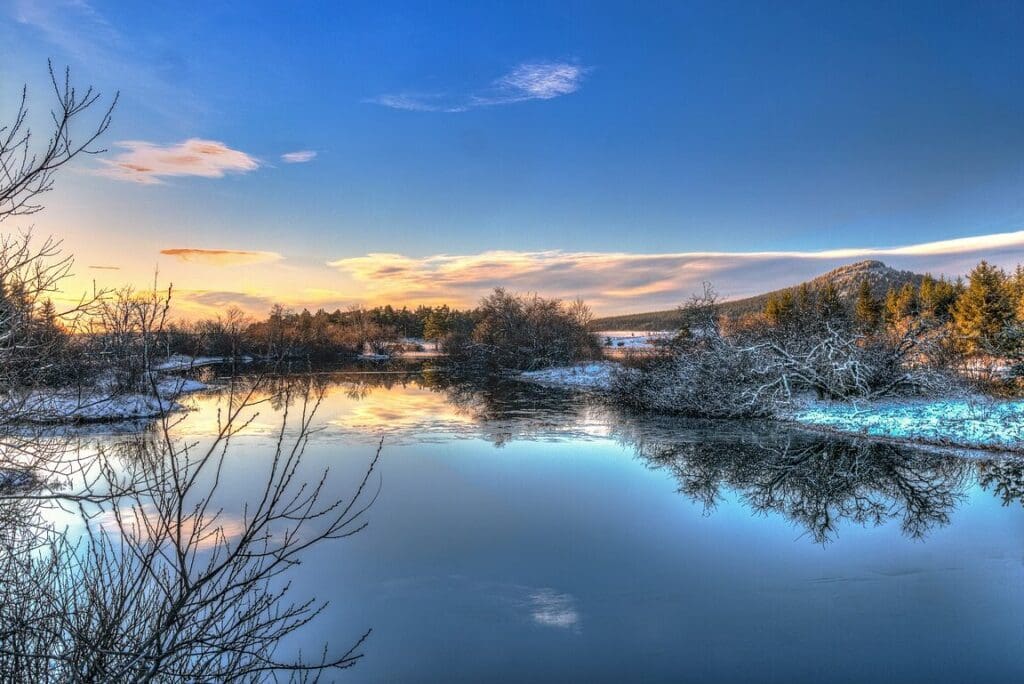 Antonyme naturel: Explorer l’Harmonie entre les Contraires dans la Faune et la Flore d’Argentine