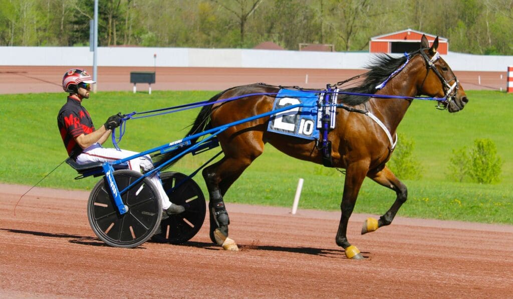 ordinateur courses trot