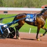 ordinateur courses trot